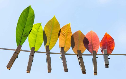 laver et secher culottes menstruelles